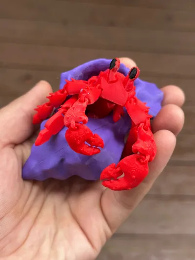 https://makerworld.bblmw.com/makerworld/model/974978/977243/ratings/744efb40-6987-11f0-9155-b7048c9d6e86.jpg