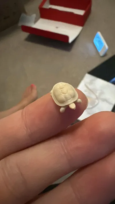 https://makerworld.bblmw.com/makerworld/model/975913/948740/ratings/5f894040-723c-11f0-af67-75fab3a87bf2.jpg