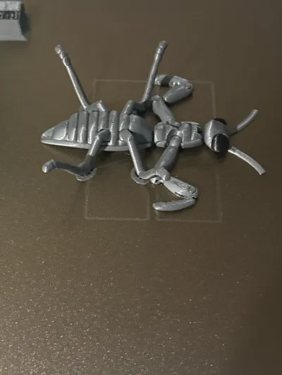 https://makerworld.bblmw.com/makerworld/model/976972/950001/ratings/36af0fe0-35e9-11f0-90a2-8dd54df34028.jpg