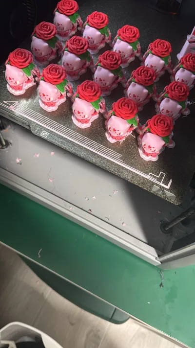 https://makerworld.bblmw.com/makerworld/model/977155/950216/ratings/cfdde9d0-7c6a-11f0-8f46-91a3405c1a76.jpg