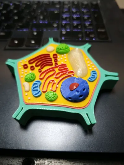 Plant Cell - Free 3D Print Model - MakerWorld
