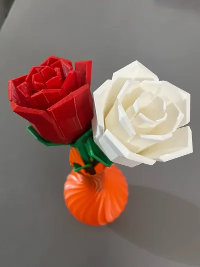 https://makerworld.bblmw.com/makerworld/model/97923/130491/ratings/314236d0-9ea9-11f0-b07c-1b219ad0b85e.jpg