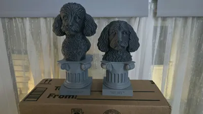 https://makerworld.bblmw.com/makerworld/model/98073/104526/ratings/757caeb0-e24d-11f0-923f-65c5f73533df.jpg