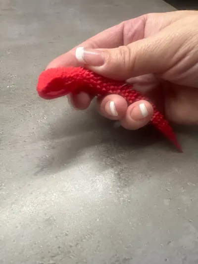 https://makerworld.bblmw.com/makerworld/model/983251/957323/ratings/c3afa930-a2cd-11f0-92b8-1faf76f0bfc7.jpg