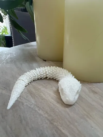 https://makerworld.bblmw.com/makerworld/model/983251/957323/ratings/ee0f0d30-300c-11f0-a8b3-af7a263fec4b.jpg
