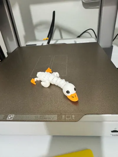 https://makerworld.bblmw.com/makerworld/model/985242/994562/ratings/fca9b9b0-5386-11f0-a881-4925c46f2330.jpg