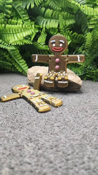 https://makerworld.bblmw.com/makerworld/model/98536/105037/ratings/9d868780-f181-11f0-b832-73aaa1e0f6f9.jpg