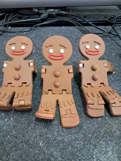 https://makerworld.bblmw.com/makerworld/model/98536/105041/ratings/fd3d2b20-bb44-11f0-a0bf-d59090598e7e.jpg
