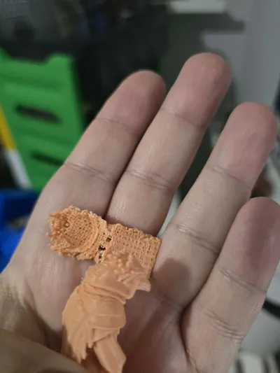 https://makerworld.bblmw.com/makerworld/model/985565/960112/ratings/ad9e5040-1143-11f0-ab65-cd30d4e5b551.jpg