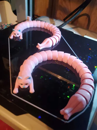 https://makerworld.bblmw.com/makerworld/model/988116/963192/ratings/04439840-1d85-11f0-8553-2dbea496a58a.jpg