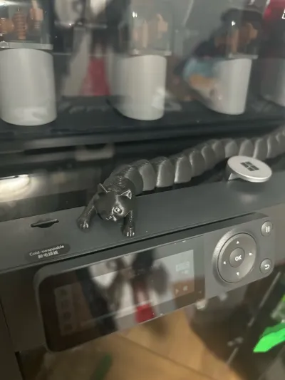 https://makerworld.bblmw.com/makerworld/model/988116/963192/ratings/a83252c0-6c27-11f0-8b2a-31bee6f4b0ad.jpg