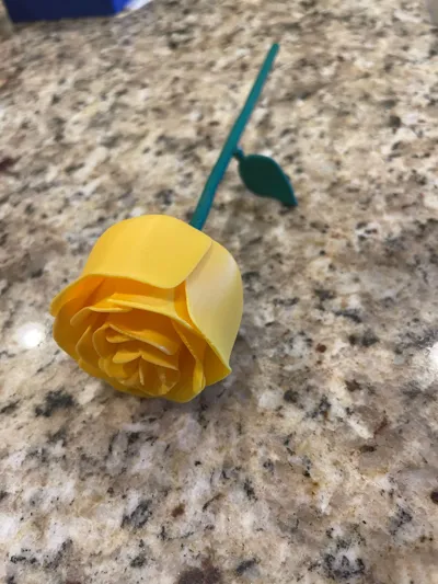 https://makerworld.bblmw.com/makerworld/model/988983/964201/ratings/8eea7d90-6850-11f0-8a69-55f919256a68.jpg