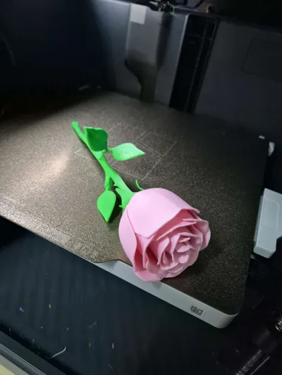 https://makerworld.bblmw.com/makerworld/model/988983/964201/ratings/8f1a72f0-dd9b-11f0-8f02-05040d8cc3b8.jpg
