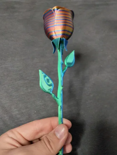 https://makerworld.bblmw.com/makerworld/model/988983/964201/ratings/b9eb0bb0-4922-11f0-89ce-291e527556be.jpg