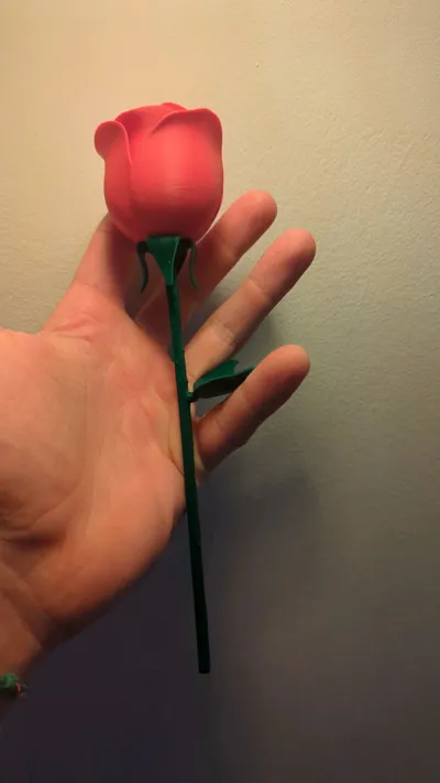 https://makerworld.bblmw.com/makerworld/model/988983/964201/ratings/ccb71970-1d56-11f0-b377-79b6a076eba4.jpg