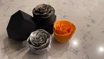 https://makerworld.bblmw.com/makerworld/model/988983/964201/ratings/cd0e9650-1234-11f0-b530-3f7e380e2a07.jpg