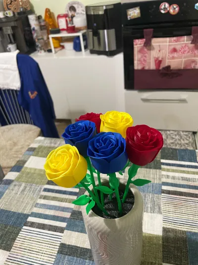 https://makerworld.bblmw.com/makerworld/model/988983/964201/ratings/f279fda0-ea36-11f0-9f6b-3d251285810b.jpg