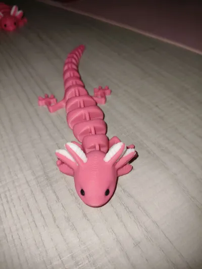 https://makerworld.bblmw.com/makerworld/model/989796/1110695/ratings/9c8e78d0-88bb-11f0-a79c-d319ed2d024a.jpg