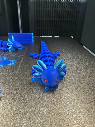 https://makerworld.bblmw.com/makerworld/model/989796/965214/ratings/3e6905d0-7db8-11f0-9e06-0f938344a716.jpg