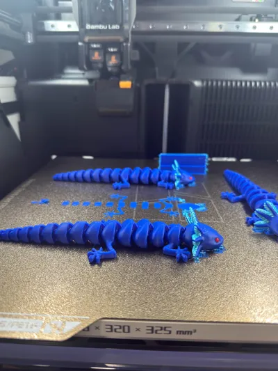 https://makerworld.bblmw.com/makerworld/model/989796/965214/ratings/3e736610-7db8-11f0-9e06-0f938344a716.jpg