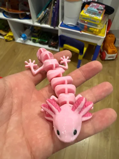 https://makerworld.bblmw.com/makerworld/model/989796/965214/ratings/c7d912c0-daa0-11f0-ae65-6f3137cf3c87.jpg