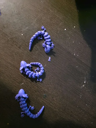 https://makerworld.bblmw.com/makerworld/model/989796/965228/ratings/656cd460-7924-11f0-a299-a5551d328812.jpg