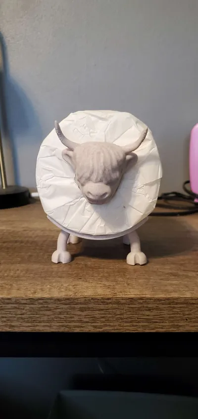 https://makerworld.bblmw.com/makerworld/model/990184/1230935/ratings/fd740510-f167-11f0-9966-4bc8c738b413.jpg