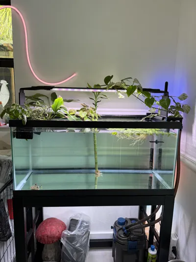 Aquarium Light Riser for Large Aquariums by Steven MakerWorld: Download ...