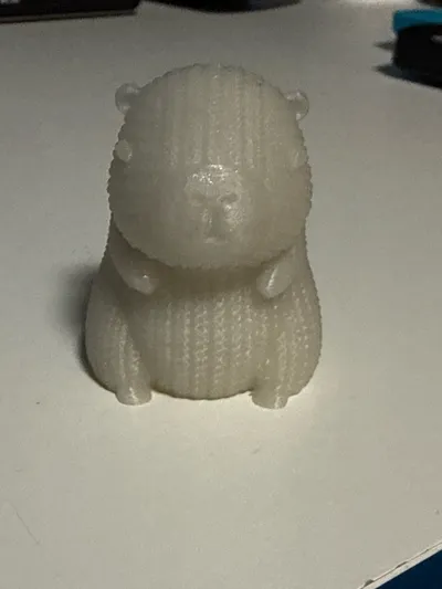 https://makerworld.bblmw.com/makerworld/model/990778/966254/ratings/cac2aa00-ef2c-11f0-90e6-1b1f70cd380a.jpg