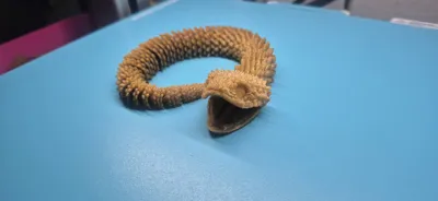 https://makerworld.bblmw.com/makerworld/model/991429/967224/ratings/79985450-bf15-11f0-bb57-e77a6fce5e1b.jpg