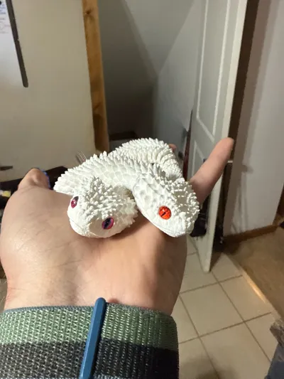 https://makerworld.bblmw.com/makerworld/model/991429/968538/ratings/f1ee3750-ed76-11f0-b0d1-71b12e01aaf8.jpg