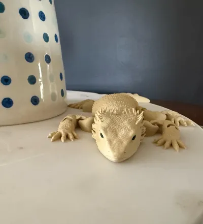 https://makerworld.bblmw.com/makerworld/model/992584/968367/ratings/3112c9d1-1a0c-11f0-b8e5-b9ad4d7c3ef6.jpg