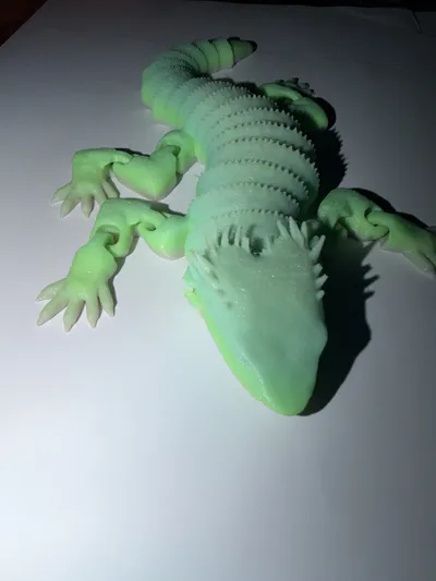 https://makerworld.bblmw.com/makerworld/model/992584/968367/ratings/549993a0-eab0-11f0-a739-49de5b4ef829.jpg
