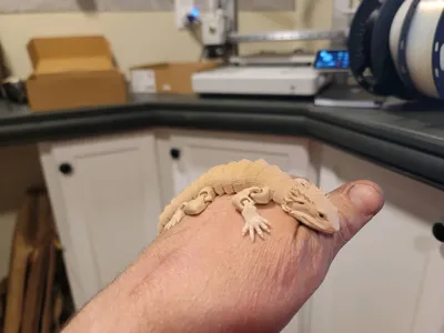 https://makerworld.bblmw.com/makerworld/model/992584/968367/ratings/b6bd9b90-261a-11f0-b459-43d99a6a3109.jpg