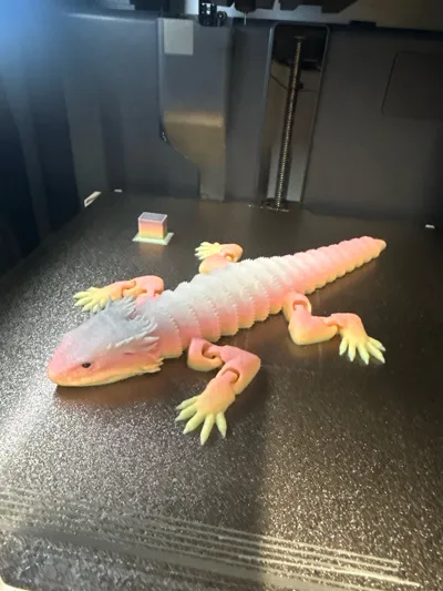 https://makerworld.bblmw.com/makerworld/model/992584/968399/ratings/c9515050-6f33-11f0-ad66-d974fadd202c.jpg