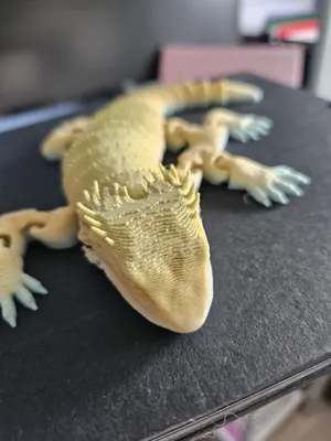 https://makerworld.bblmw.com/makerworld/model/992584/990987/ratings/4c4ae411-0249-11f0-8392-b5b45503034c.jpg