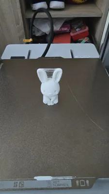 https://makerworld.bblmw.com/makerworld/model/992786/1227787/ratings/f1ff08a0-0997-11f0-9f9f-e7932df6d84c.jpg