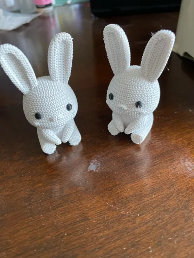 https://makerworld.bblmw.com/makerworld/model/992786/968615/ratings/0468aca0-1175-11f0-a9b7-ebf4de7f8e9f.jpg
