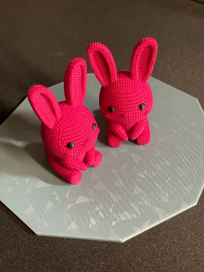 https://makerworld.bblmw.com/makerworld/model/992786/968615/ratings/0c808a60-1bd5-11f0-94eb-c554a08a650e.jpg