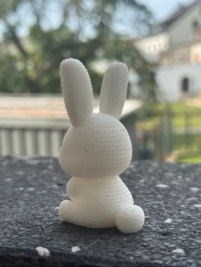 https://makerworld.bblmw.com/makerworld/model/992786/968615/ratings/35d73ae0-78ef-11f0-bff2-fb0f06bb389b.jpg