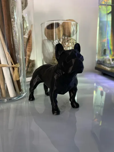 https://makerworld.bblmw.com/makerworld/model/993208/976686/ratings/94c46b60-a778-11f0-81a2-9dca4403bdaf.jpg