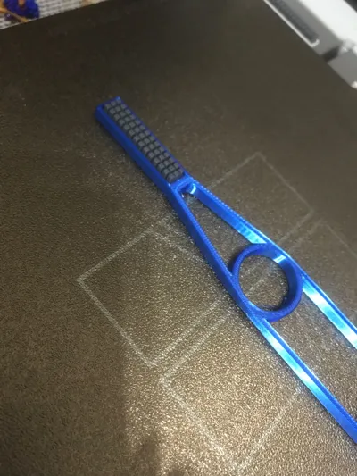 https://makerworld.bblmw.com/makerworld/model/993567/1050636/ratings/be14a040-92a4-11f0-89cd-3dbd979afa8f.jpg