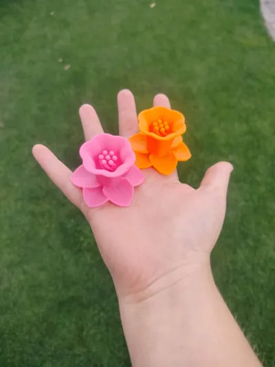 https://makerworld.bblmw.com/makerworld/model/993630/969581/ratings/1eb78720-5a90-11f0-972b-afd7a32fedb9.jpg
