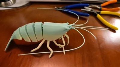 https://makerworld.bblmw.com/makerworld/model/993671/984699/ratings/e4e96650-3e81-11f0-bb92-0b44142e16ed.jpg