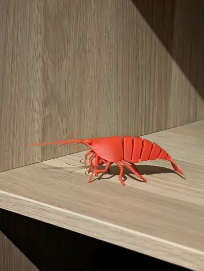 https://makerworld.bblmw.com/makerworld/model/993671/985176/ratings/1387f8e0-e18a-11f0-8eae-0bd9ff8a48cb.jpg