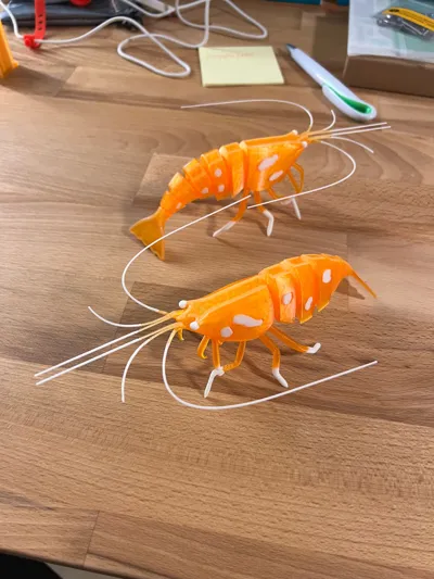 https://makerworld.bblmw.com/makerworld/model/993671/999630/ratings/4e353290-d529-11f0-b257-9748b41a09ca.jpg