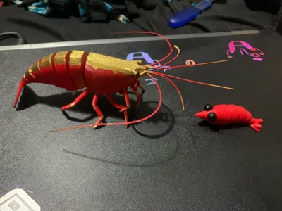 https://makerworld.bblmw.com/makerworld/model/993671/999630/ratings/5ff25ee0-3d21-11f0-9ba6-637ce0e08cff.jpg