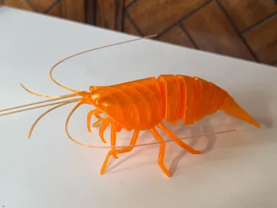 https://makerworld.bblmw.com/makerworld/model/993671/999630/ratings/7b411ef0-4e9e-11f0-9a11-b1bb0c5e13af.jpg