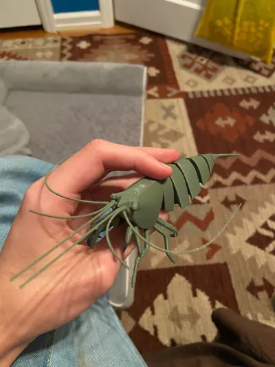 https://makerworld.bblmw.com/makerworld/model/993671/999630/ratings/9ce1a360-283b-11f0-bc26-b9efed5d6b04.jpg