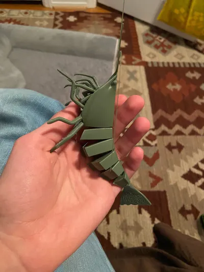 https://makerworld.bblmw.com/makerworld/model/993671/999630/ratings/9ce76fc0-283b-11f0-bc26-b9efed5d6b04.jpg